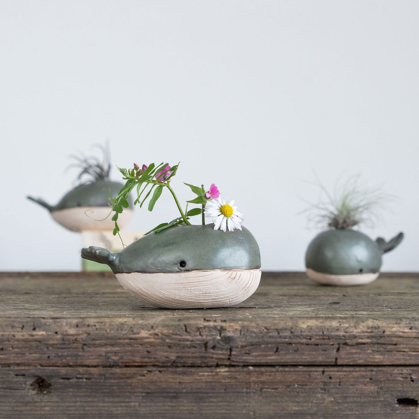 Whale Vase With/Without Air Plant, Mini Flower Vase