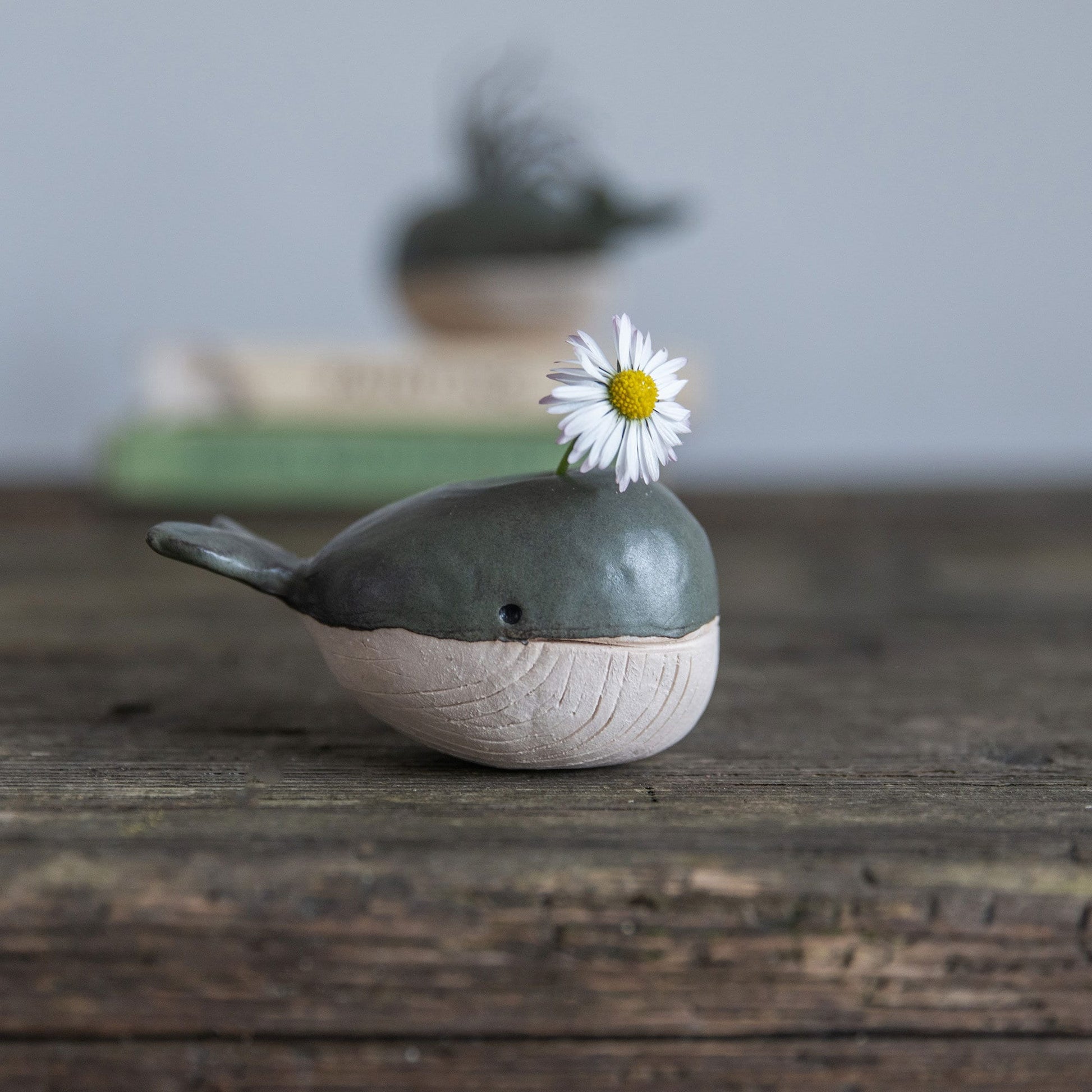 Whale Vase With/Without Air Plant, Mini Flower Vase