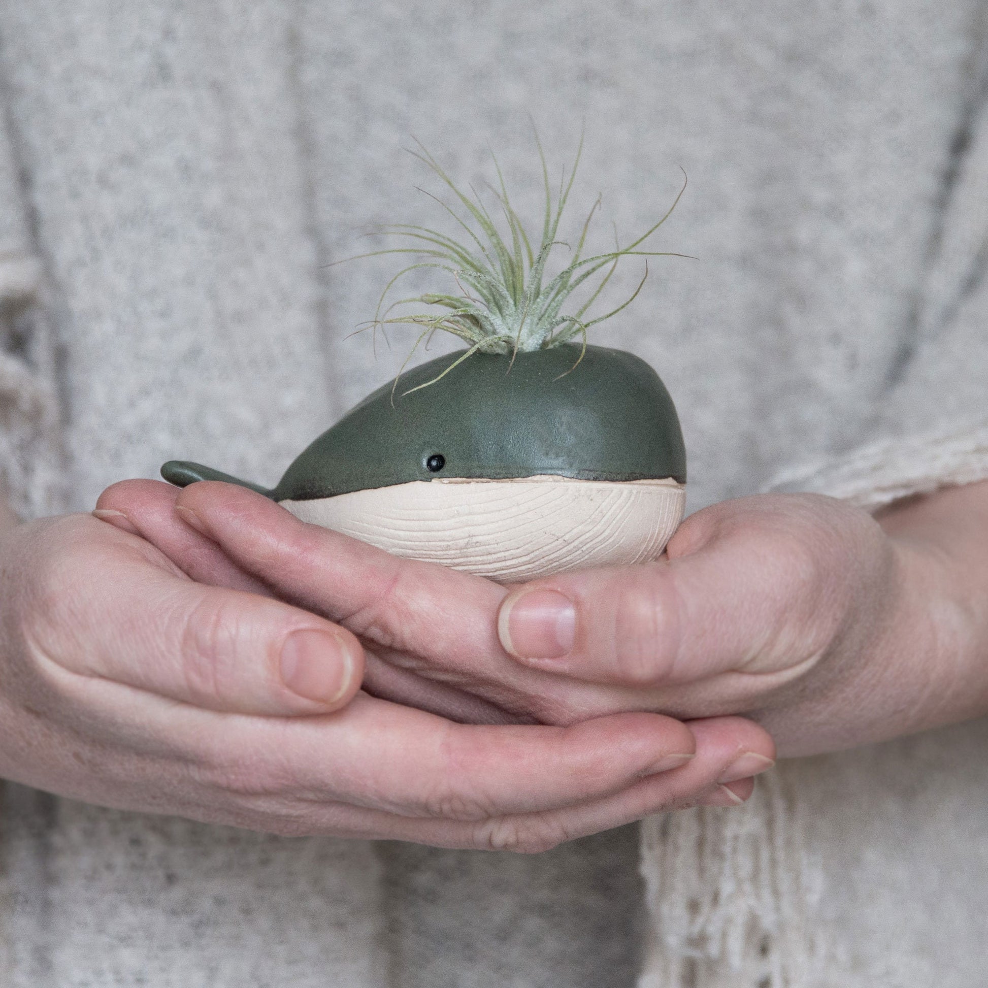 Whale Vase With/Without Air Plant, Mini Flower Vase