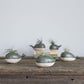 Whale Vase With/Without Air Plant, Mini Flower Vase