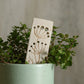 Ceramic Plant Marker Herb Stripper