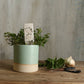 Ceramic Plant Marker Herb Stripper