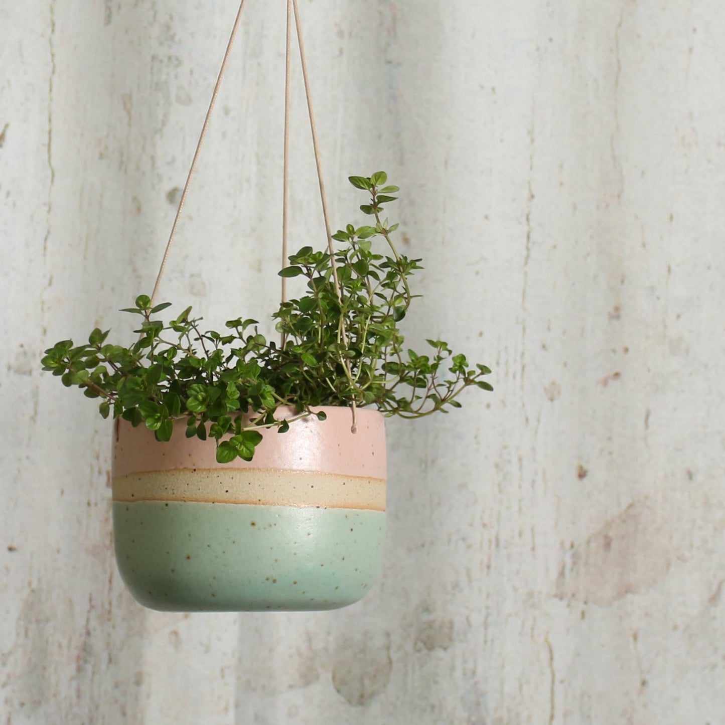 Cotton Candy Hanging Ceramic Planter